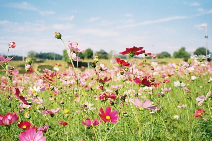 Photo 897262